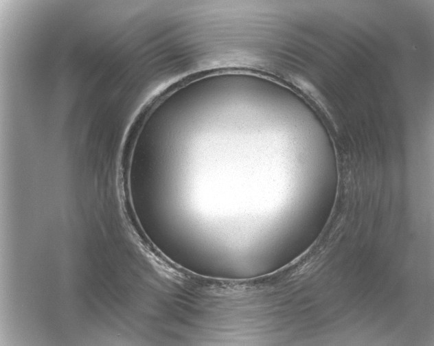 X0000053161072200507251902