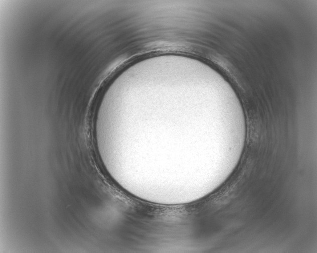X0000053161074200507251902