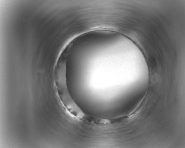 X0000053161102200507251902