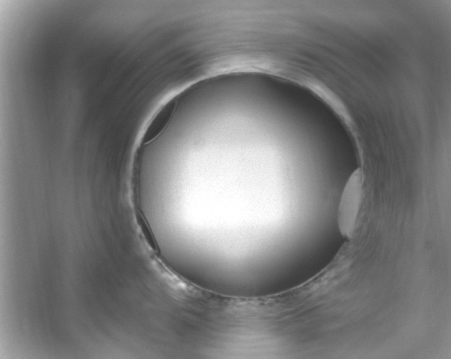 X0000053161104200507251902
