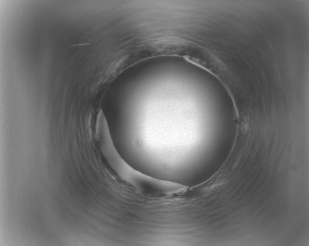 X0000053161108200507251901