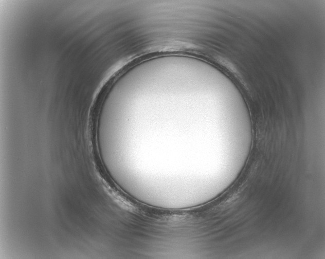 X0000053161122200507251901