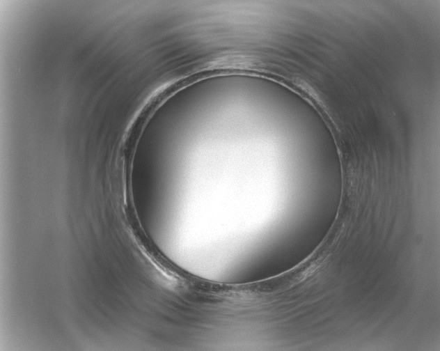 X0000053161123200507251901