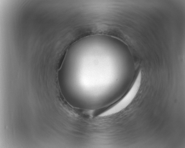 X0000053161153200507251901
