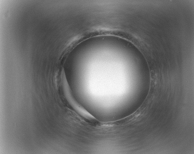 X0000053161157200507251901