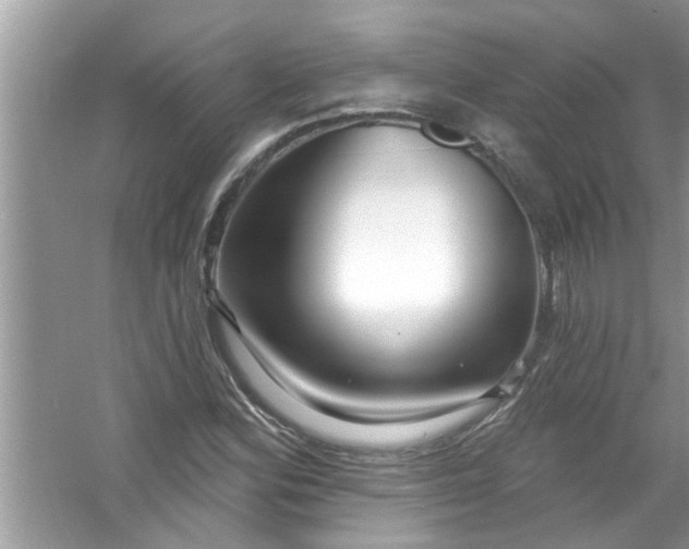X0000053161164200507251901