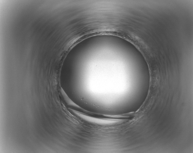 X0000053161169200507251901
