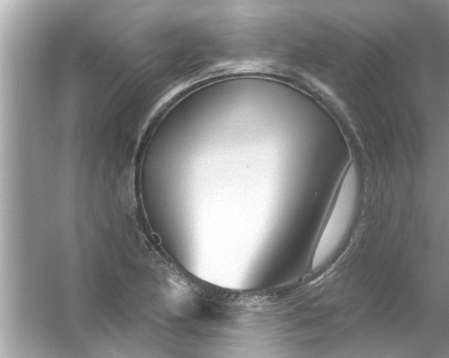 X0000053161174200507251901