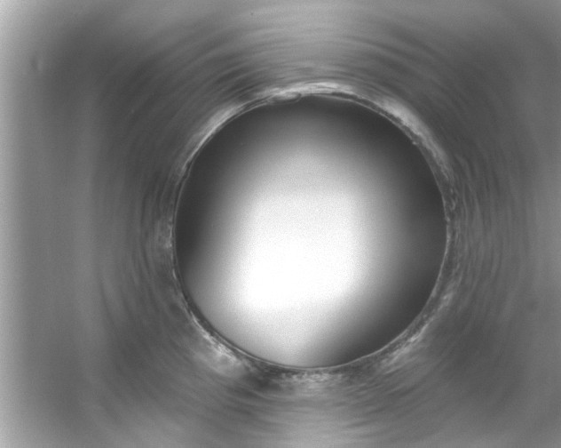 X0000053161193200507251900