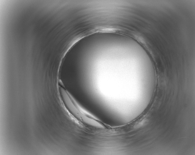X0000053161194200507251900