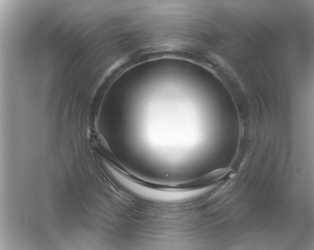 X0000053161210200507251859