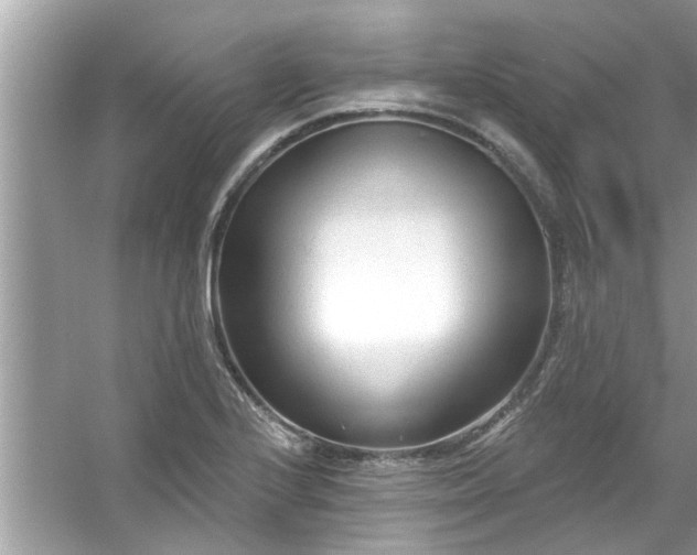 X0000053161224200507251900