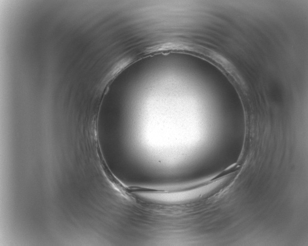 X0000053161241200507251900