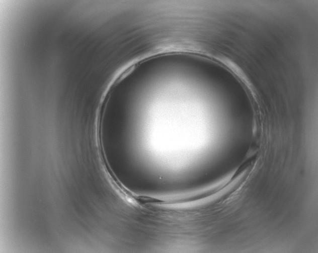 X0000053161246200507251900