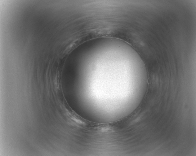 X0000053161250200507251859