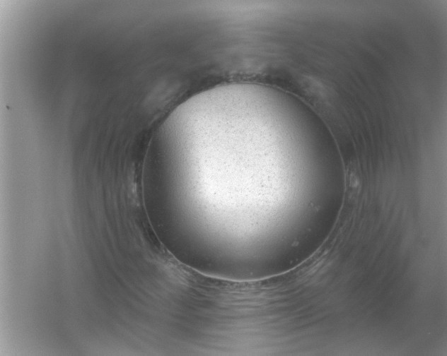 X0000053161252200507251859