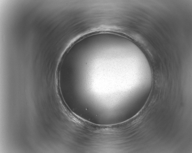 X0000053161280200507251859