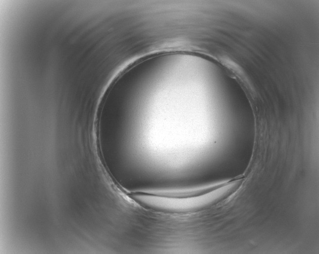 X0000053161288200507251859