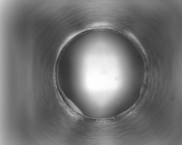 X0000053161336200507251858