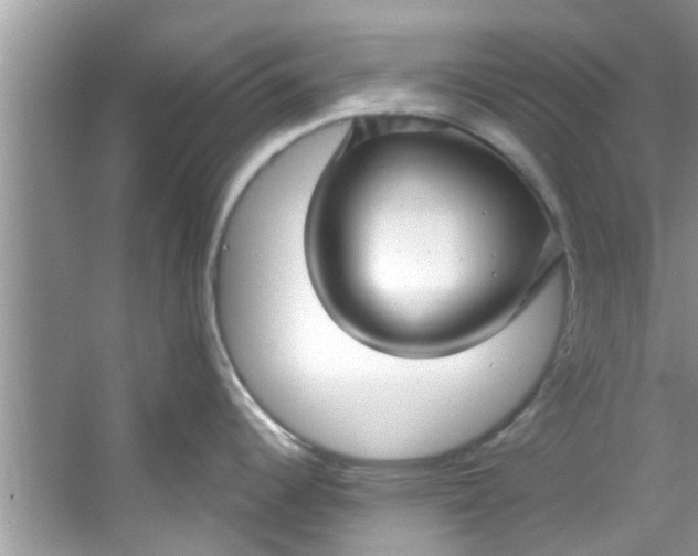 X0000053161344200507251858