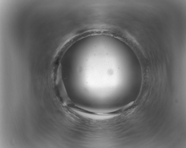 X0000053161352200507251857