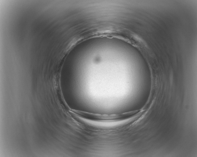 X0000053161353200507251857