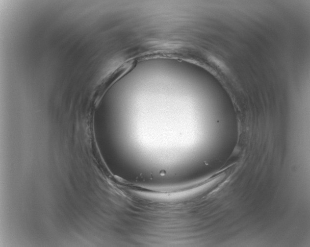 X0000053161354200507251857