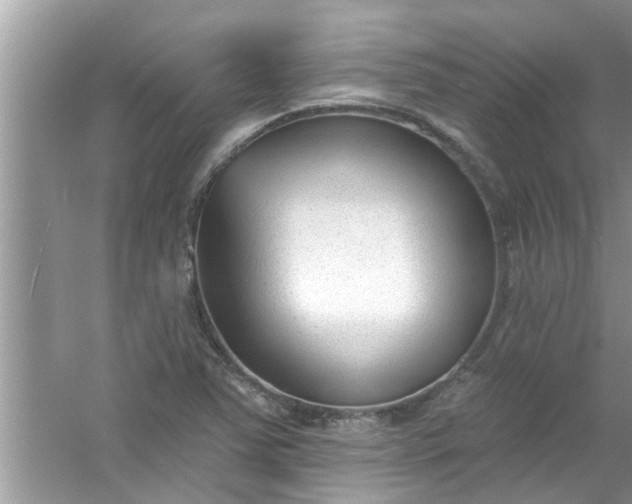 X0000053161363200507251857