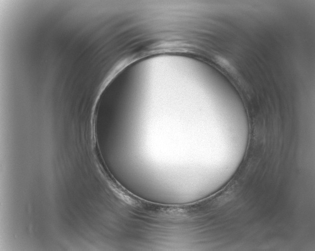 X0000053161370200507251857