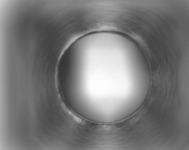 X0000053161374200507251857