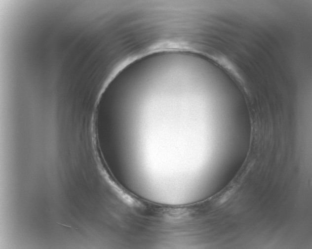 X0000053161382200507251857