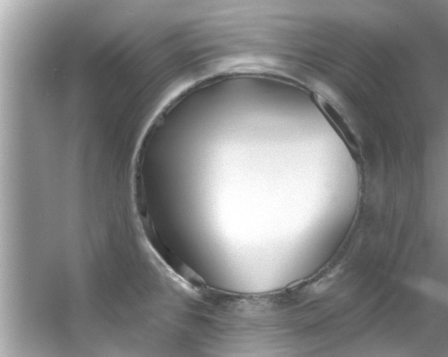X0000053161384200507251857