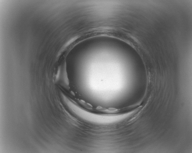 X0000053161402200507251856