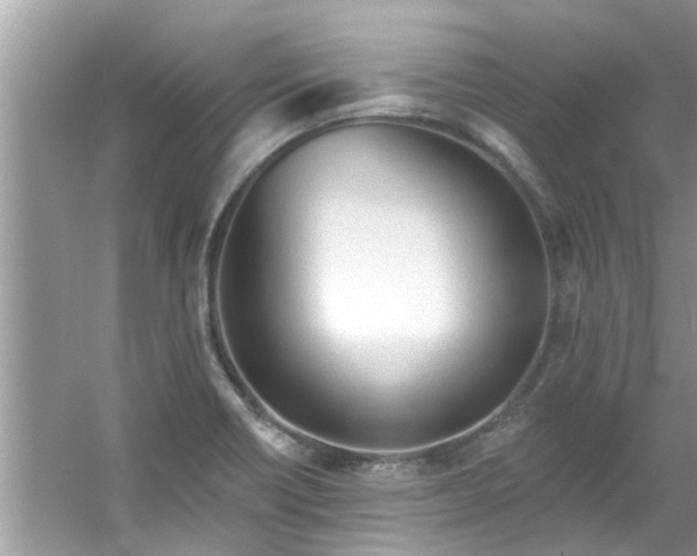 X0000053161418200507251856