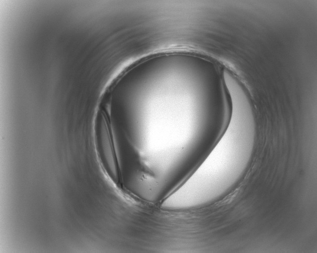 X0000053161422200507251856