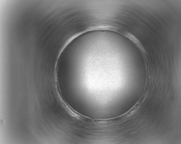 X0000053161436200507251857