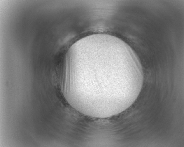 X0000053161446200507251856