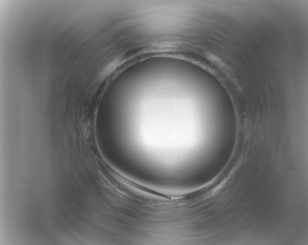 X0000053161449200507251856