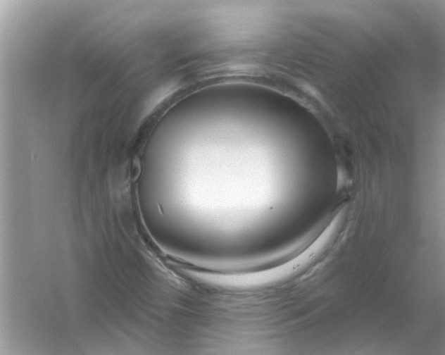 X0000053161450200507251856