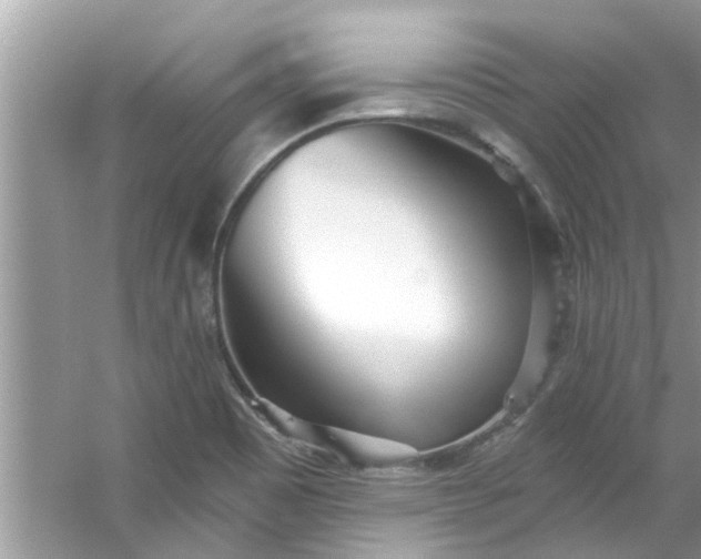 X0000053161465200507251856