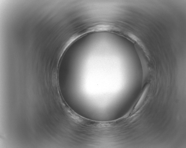 X0000053161473200507251855