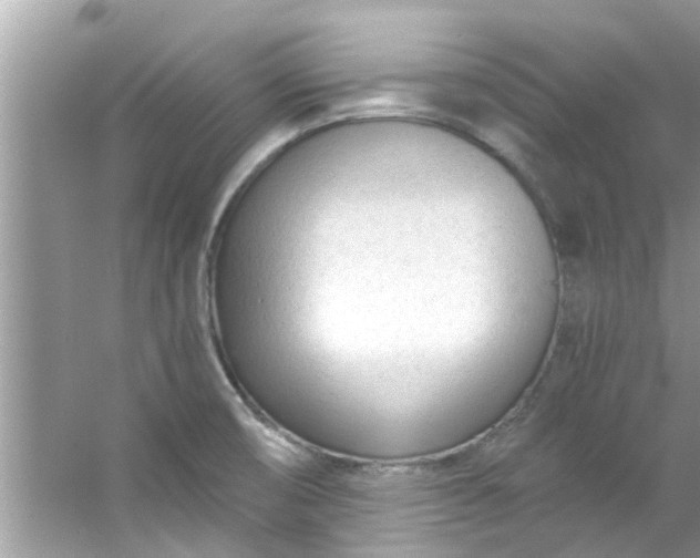 X0000053161474200507251855