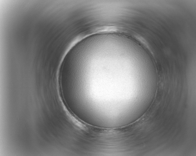X0000053161475200507251855