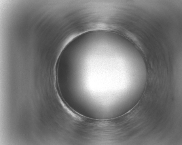 X0000053161479200507251855