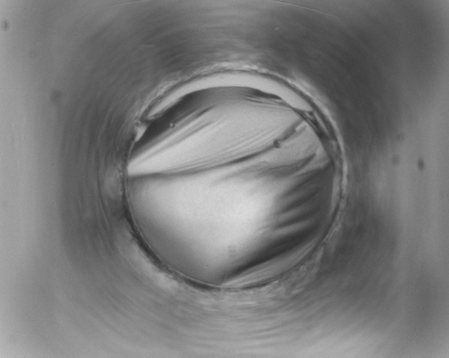 X0000053160009200508012348