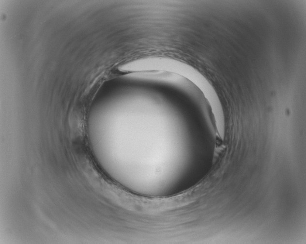 X0000053160039200508012348