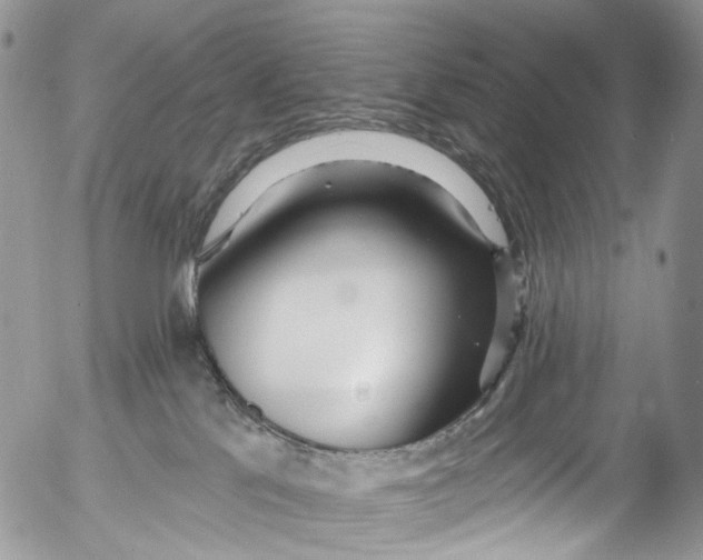 X0000053160041200508012347