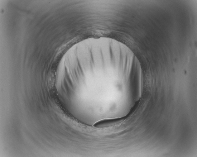 X0000053160043200508012347