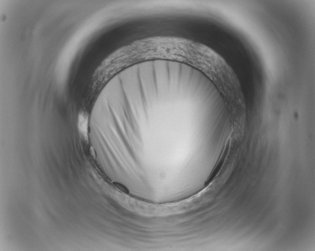X0000053160047200508012347