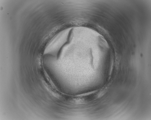X0000053160065200508012347